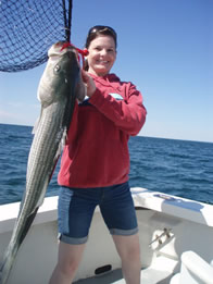 provincetown fishing