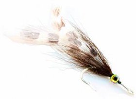 tarpon regarding fly - the tarpon roach fly