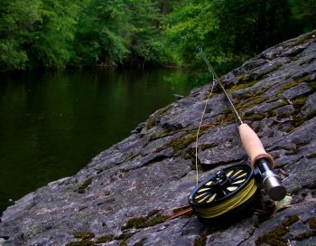 The Dozen most readily useful fly rods of all time? We pick, you argue.
