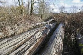 The playground is a great place for kids to learn about the environment, Snohomish County Parks and Recreation staffers state.