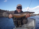 Brown Trout season