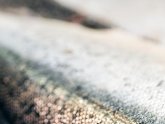 Canadian fishing license
