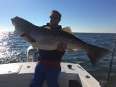 Chesapeake Bay SportFishing Charters