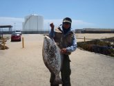 Fishing Report San Diego
