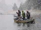 Green River Fishing Report