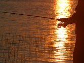 Hunting and fishing Licenses