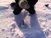 Lake Erie Ice Fishing