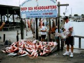 Port Aransas Fishing Charters