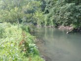 Trout fishing in PA