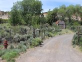 Utah fishing license