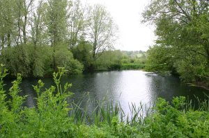 Tolpuddle, Dorset Trout Lakes - photo