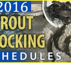 Trout stocking schedules