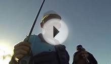32 lbs total weight Bass Fishing at Canyon lake CA. Feb 25,