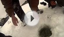 Anglers Catch an Otter While Icefishing [VIDEO] | Griffin