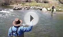 Beaverhead River Fly Fishing