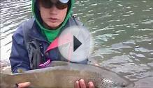 BIG TROUT OF SPAIN | FLY FISHING IN WINTER
