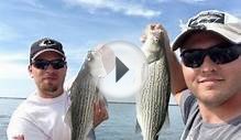 Catching Tons of Hybrid Striped Bass (Wipers) at Lake Tawakoni