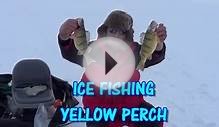 DEEP WATER ICE FISHING for HUGE PERCH