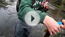 eildon trout fishing video 1
