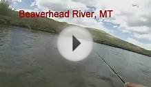 Epic Montana Trout Rivers - THE BEAVERHEAD