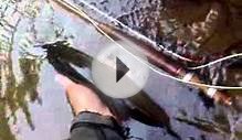 fishing bamboo rod part2.mp4