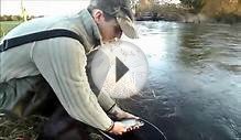Fishing Dorset Episode 3 - Grayling fishing on the river