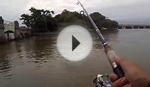 Fishing for Blue Catfish on the Potomac River (Washington