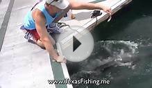 Fishing South Padre Island.mp4