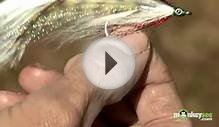 Fly Fish - Types of Fishing Flies