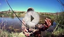 Fly Fishing for Smallmouth Yellowfish and Smallmouth bass