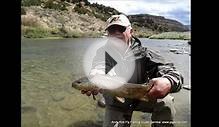 Fly Fishing Report San Juan River nymph dry fly fishing