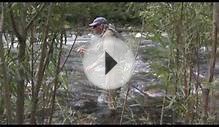 Fly Fishing the Gallatin River in Bozeman Montana
