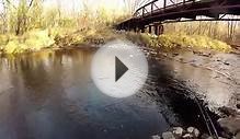 Fly Fishing the Root River Wisconsin