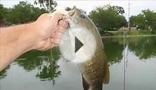 Fox river fishing St. Charles Illinois 8/12/12