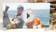 Guerita Sportfishing Cabo San Lucas Deep Sea Fishing Charters