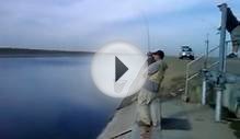 HMONG FISHING - Fresno, Cali Aqueduct 40 pound Striper