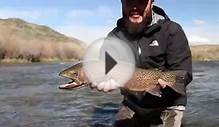 Homewater: Fly Fishing New Mexico