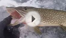 Ice Fishing for Northern Pike on St. Lawrence River USA 2012