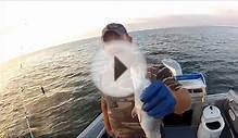 Jacksonville Fall Video Fishing Report