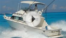 Join this fishing charter on Friday, February 5 in Cancun