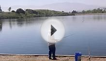 Korean Cane Pole Fishing