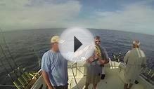 Lake Erie Walleye Charter - Vision Quest Sport Fishing