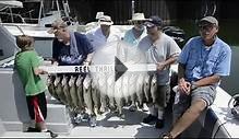 Lake Erie Walleye Fishing Report with Reel Thrill Charters