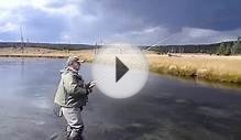 Landing a brown trout while fly fishing the Firehole River