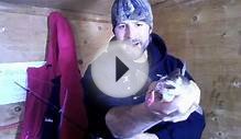 Minnesota Walleye Fishing Lake of the Woods Ice Fishing