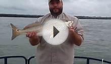 Murrells Inlet Red Drum Fishing Catch-1 Charters