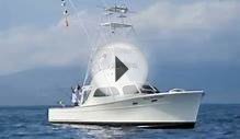No Problem , Deep sea charter fishing in Maui Hawaii