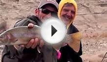 North Platte Fishing Report Video | April :: Grey Reef