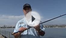 Okuma Fishing Tackle, Cedros Saltwater Low-Profile