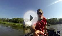 Pomonkey Creek / Potomac River Bass Fishing 6-1-2013